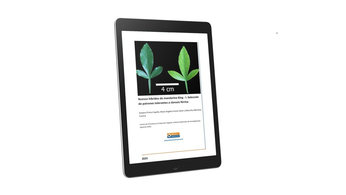 Portada clorosis férrica.jpg